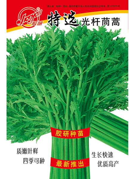 光杆茼蒿——叶菜